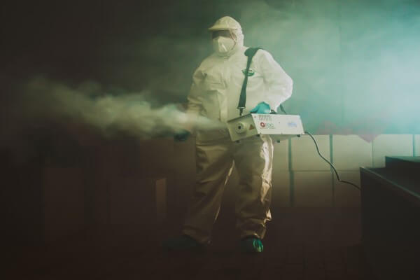 PEST CONTROL HARLOW, Essex. Pests Our Team Eliminate - Cleaning.
